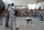 ampliar