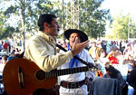 ampliar
